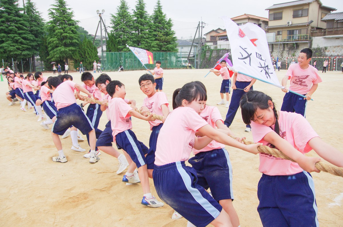 園 高校 教学 清