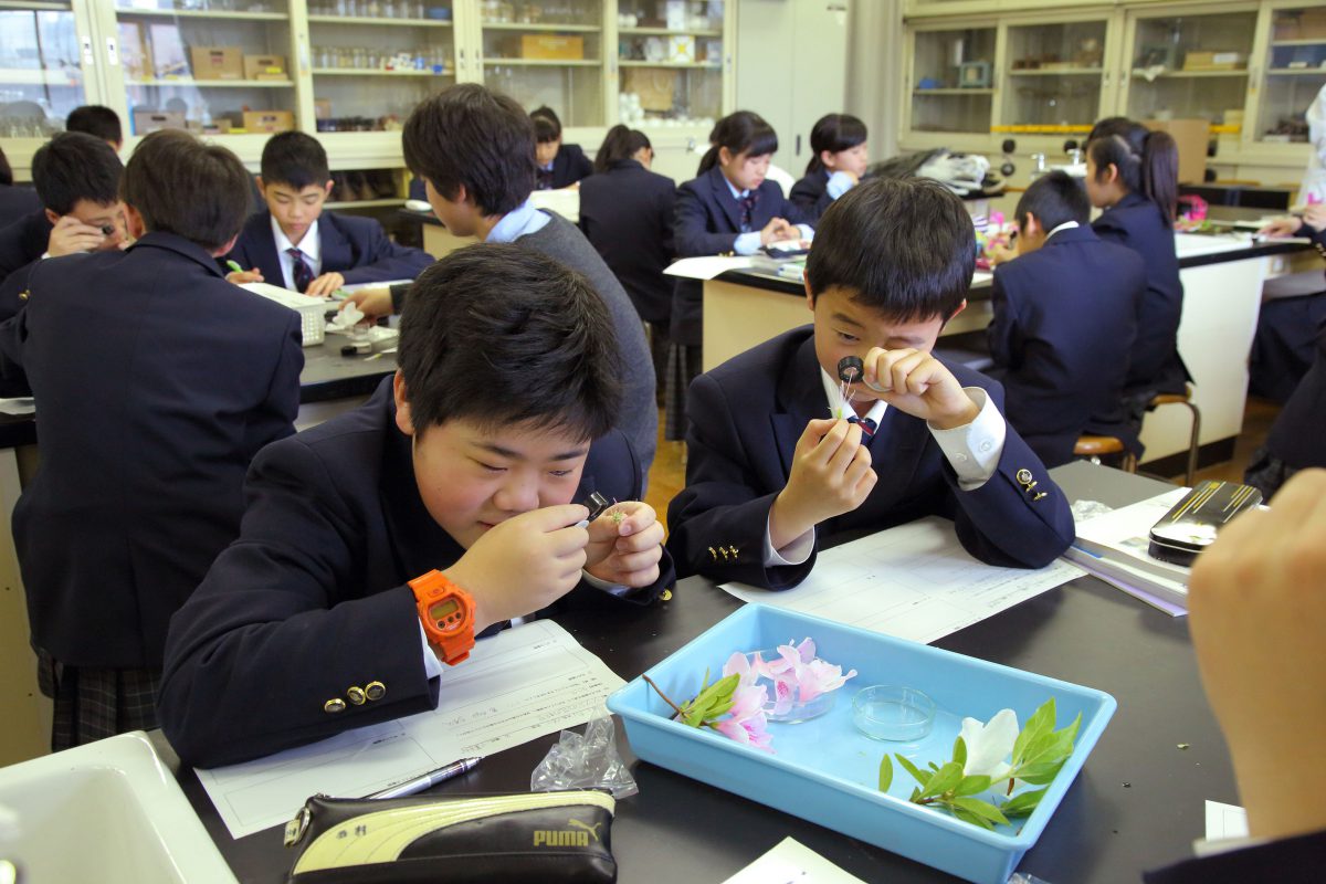 大阪学芸高等学校附属中学校 朝日小学生新聞 中学受験eye 関西圏